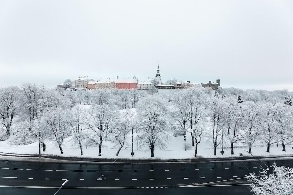 Go Shnelli Tallinn